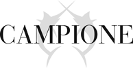 Logo Campione Hake